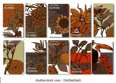 Herbal illustration on label packaging design. Hand drawn vector botanic set with branch, flowers, birds.