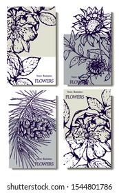 Herbal illustration on label packaging design. Hand drawn vector botanic set with branch, flowers, cone.