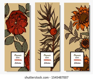 Herbal illustration on label packaging design. Hand drawn vector botanic set with branch, flowers.
