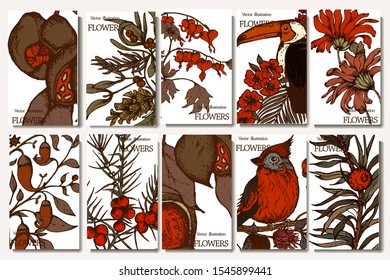 Herbal illustration on label packaging design. Hand drawn vector botanic set with branch, flowers, bird.