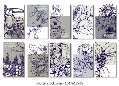Herbal illustration on label packaging design. Hand drawn vector botanic set with branch, flowers, bird.