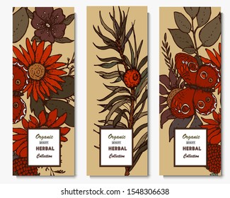 Herbal illustration on label packaging design. Hand drawn vector botanic set with branch, flowers.