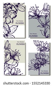 Herbal illustration on label packaging design. Hand drawn vector botanic set with branch, flowers.
