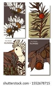 Herbal illustration on label packaging design. Hand drawn vector botanic set with branch, flowers, bird.
