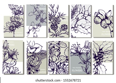 Herbal illustration on label packaging design. Hand drawn vector botanic set with branch, flowers, cone.