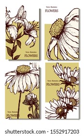 Herbal illustration on label packaging design. Hand drawn vector botanic set with branch, flowers.