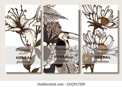 Herbal illustration on label packaging design. Hand drawn vector botanic set with branch, flowers, bird.
