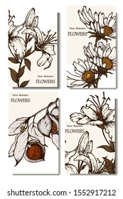 Herbal illustration on label packaging design. Hand drawn vector botanic set with branch, flowers.