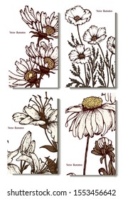 Herbal illustration on label packaging design. Hand drawn vector botanic set with branch, flowers.