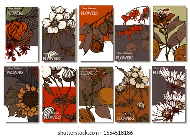 Herbal illustration on label packaging design. Hand drawn vector botanic set with branch, flowers.