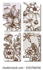Herbal illustration on label packaging design. Hand drawn vector botanic set with branch, flowers.