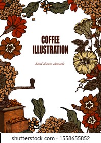 Herbal illustration on label packaging design. Hand drawn vector botanic set with branch, flowers, coffee beans.