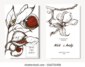 Herbal illustration on label packaging design. Hand drawn vector botanic set with branch, flowers. Wedding invitation