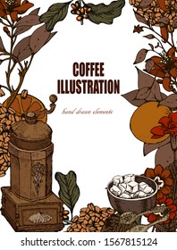 Herbal illustration on label packaging design. Hand drawn vector botanic set with branch, flowers, coffee beans.