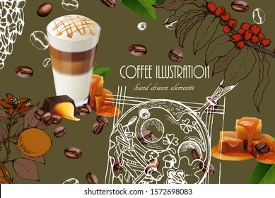 Herbal illustration on label packaging design. Hand drawn  botanic set with branch, coffee beans. Realistic coffee vector
