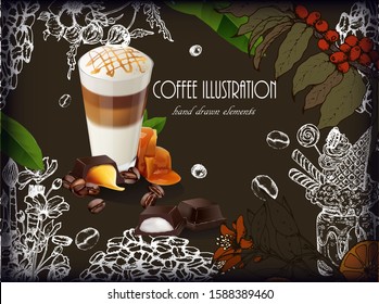Herbal illustration on label packaging design. Hand drawn  botanic set with branch, coffee beans. Realistic coffee vector