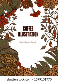 Herbal illustration on label packaging design. Hand drawn vector botanic set with branch, flowers, coffee beans.