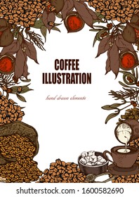 Herbal illustration on label packaging design. Hand drawn vector botanic set with branch, flowers, coffee beans.