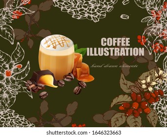 Herbal illustration on label packaging design. Hand drawn vector botanic set with branch, flowers, coffee beans. Realistic vector
