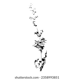 Herbal imprint. Black silhouette. Vector botanical design element.