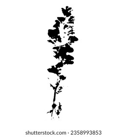 Herbal imprint. Black silhouette. Vector botanical design element.