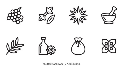 Ingredientes herbales e iconos de herramientas establecidos en el fondo blanco de tipo minimalista