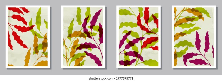Herbal interior prints collection. Spring branches with leaves. Summer twigs tropical botanical patterns. Eucalyptus nature covers. Foliage vector illustration. vector design..