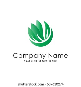 herbal leaf fresh nature logo template
