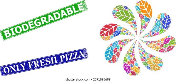 Herbal leaf icon multi colored twirl abstract flower fireworks composition, and grunge Biodegradable stamp seal. Blue Only Fresh Pizza and green Biodegradable rectangle grunge seal stamps.