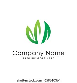 Herbal Leaf Nature Logo Template