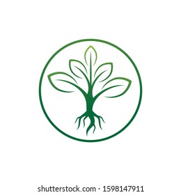 herbal leaf tea green organic beauty supplement vitamin vector logo design template