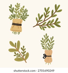 Kräuterblätter und Äste im flachen handgezeichneten Stil für Bio- und Botanische Themen. Perfekt für Verpackungen, Etiketten, Muster oder natürliche Lifestyle-Designs.