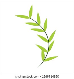 Herbal Leaves pattern on green color background.