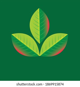 Herbal Leaves pattern on green color background.