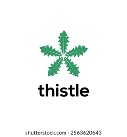 herbal leaves thistle vector design template