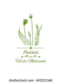 Herbal logo. Vector illustration.