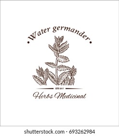 Herbal logo. Vector illustration.
