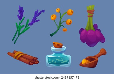 Colección de hierbas medicinales para la preparación de drogas homeopáticas y aromaterapia. Hierbas y bayas para farmacia natural. Conjunto de Ilustración vectorial de dibujos animados para la naturopatía y la homeopatía elixir curativo.