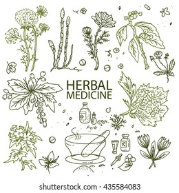 Herbal medicine doodle hand drawn elements herbal medicine sketch vector illustration 