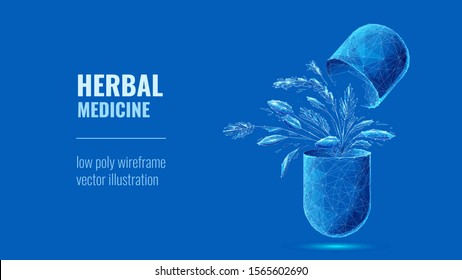 Herbal medicine. Eco capsule pills with organic herbs. Futuristic low poly wireframe digital vector illustration of Ayurveda on blue background. Alternative medical concept. Homeopathy and naturopathy