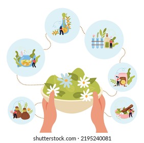 Herbal medicine flat composition with human hands holding bowl filled with chamomile flowers in center and herb icons around vector illustration