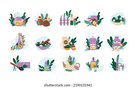 Herbal medicine flat set of natural plants for herb tee and raw materials for production of medicines isolated vector illustration