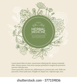 Herbal medicine hand drawn elements vintage tempate sketch vector illustration 