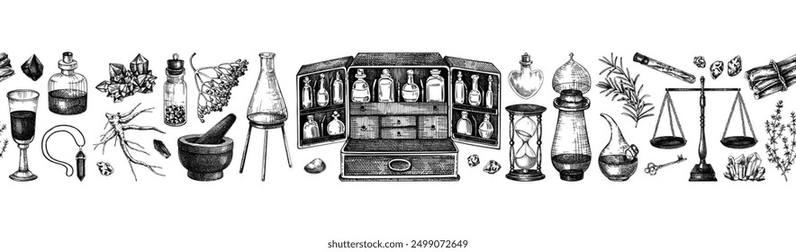 Ingredientes herbarios de la medicina frontera sin fisuras. Fondo boticario antiguo. Ilustraciones vectoriales dibujadas a mano. Bocetos de cristalería de alquimia. NO se ha generado IA