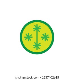 logotipo de medicina herbal diseño vectorial plantilla de icono
