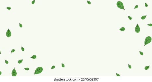 Herbal minimalist and modern vector banner with free space for text. Hand painted plants, branches, leaves on a white background. Greenery wedding simple horizontal template.