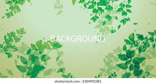 Herbal minimalist vector banner background. Plants, branches, leaves greenery wedding simple horizontal template.