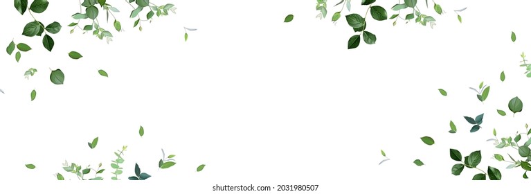 Herbal minimalist vector banner. Hand painted plants, branches, leaves on a white background. Greenery wedding simple horizontal template. Watercolor style card. All elements are isolated and editable