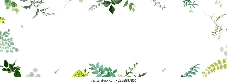 Herbal minimalist vector banner. Hand painted plants, branches, leaves on a white background. Greenery wedding simple horizontal template. Watercolor style card. All elements are isolated and editable