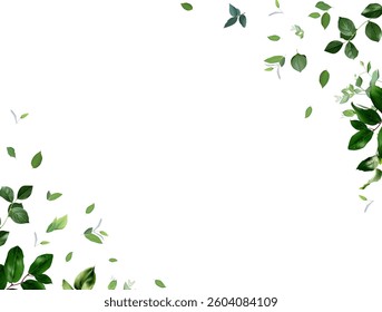Herbal minimalist vector banner. Hand painted green plants, branches, leaves on a white background. Greenery wedding simple frame. Watercolor style card. All elements are isolated and editable